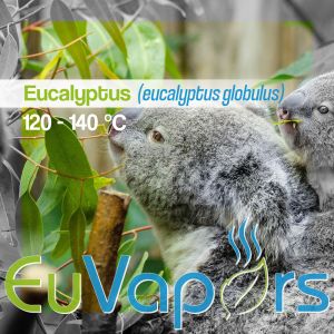 Eucalyptus - 30 g leaves