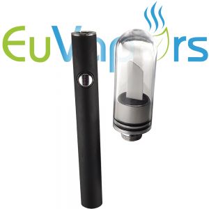 Electronic dabber with removable tip