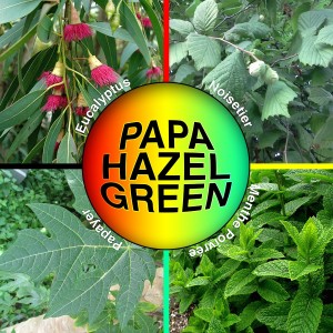Papa Hazel Groen - 30g