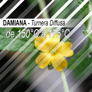 Damiana - 30g