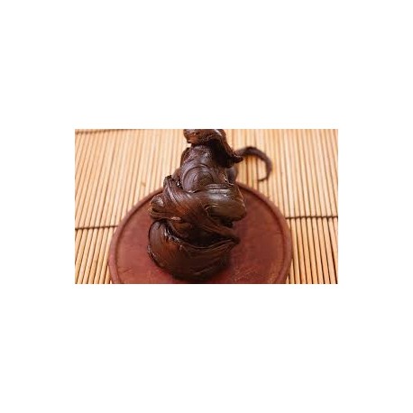 Griffe de chat résine X30 - 5 grammes - Uncaria Tomentosa